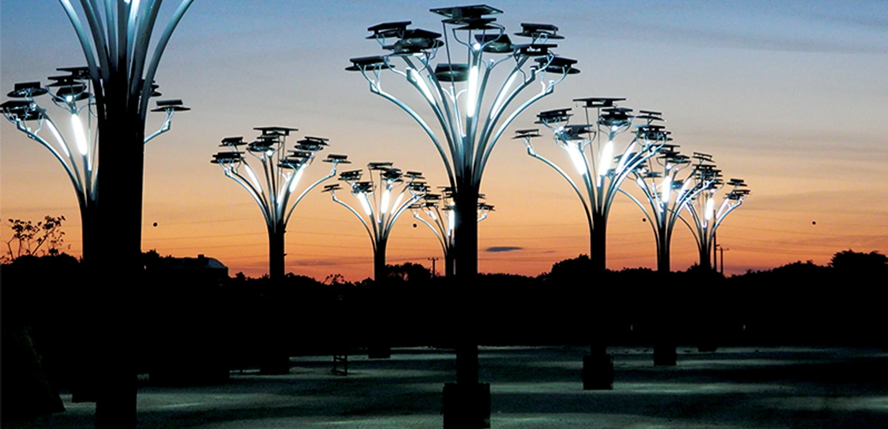Árboles solares de Punta Cana iluminados al anochecer.