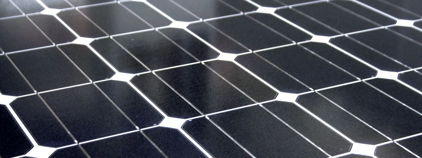 Fotovoltaicos en la copa.